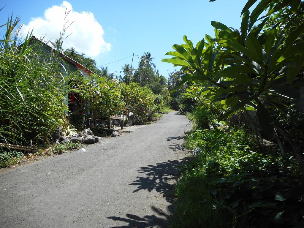 Cegeng Lestari Guesthouse Sidemen  Exterior foto