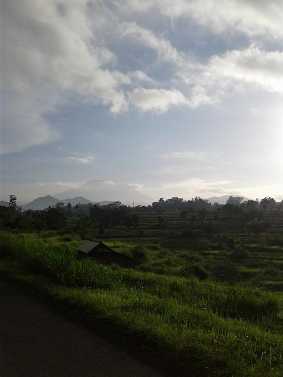 Cegeng Lestari Guesthouse Sidemen  Exterior foto